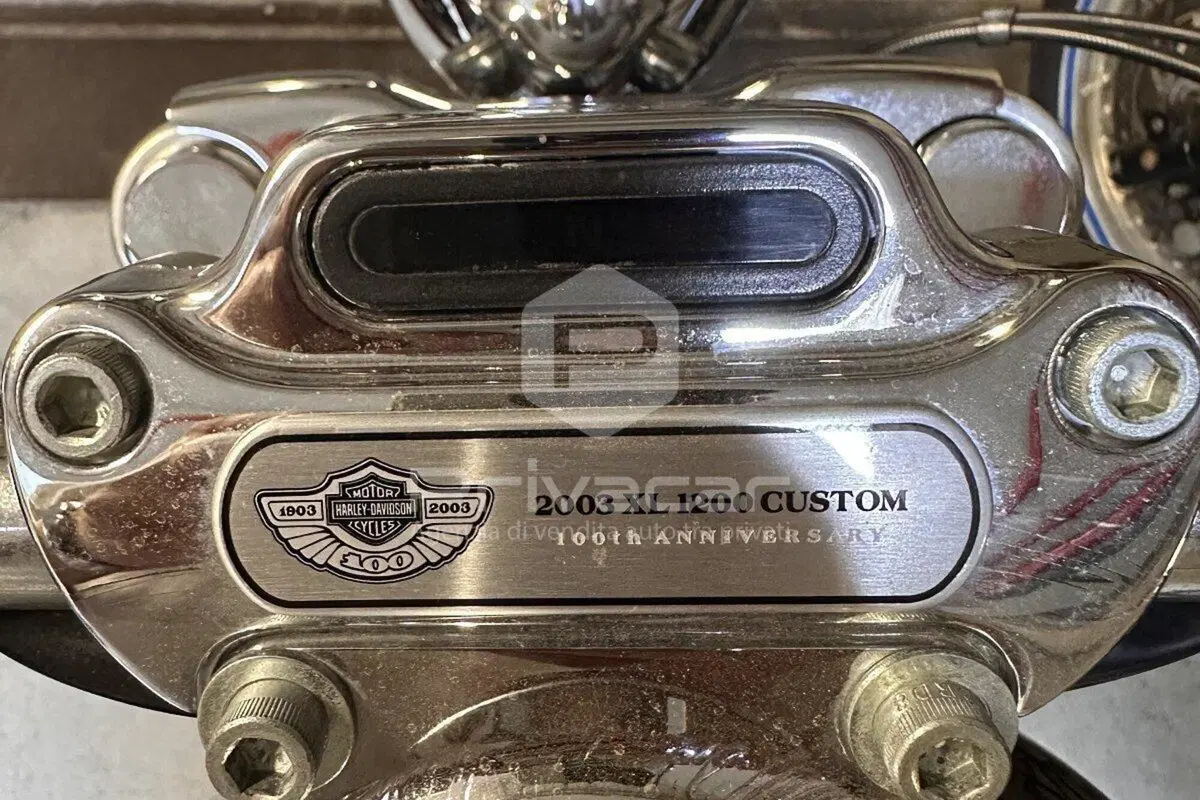 Harley-Davidson 1200 Custom (2001 - 03) - XL 1200C (10)