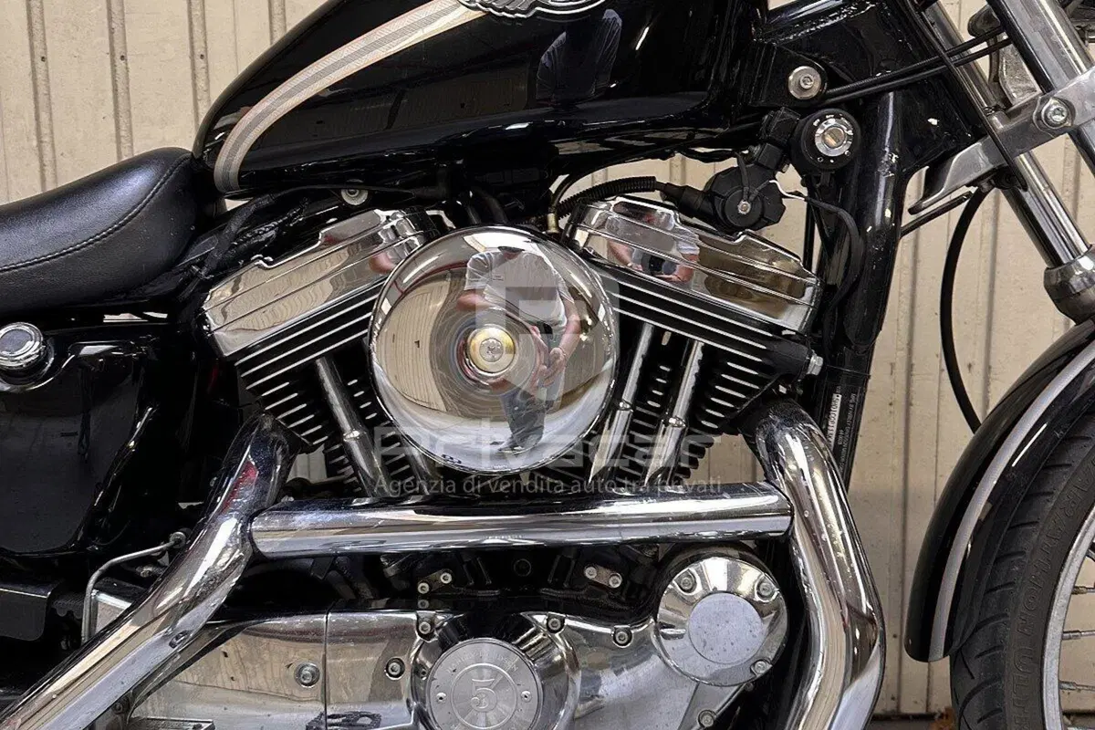 Harley-Davidson 1200 Custom (2001 - 03) - XL 1200C (14)