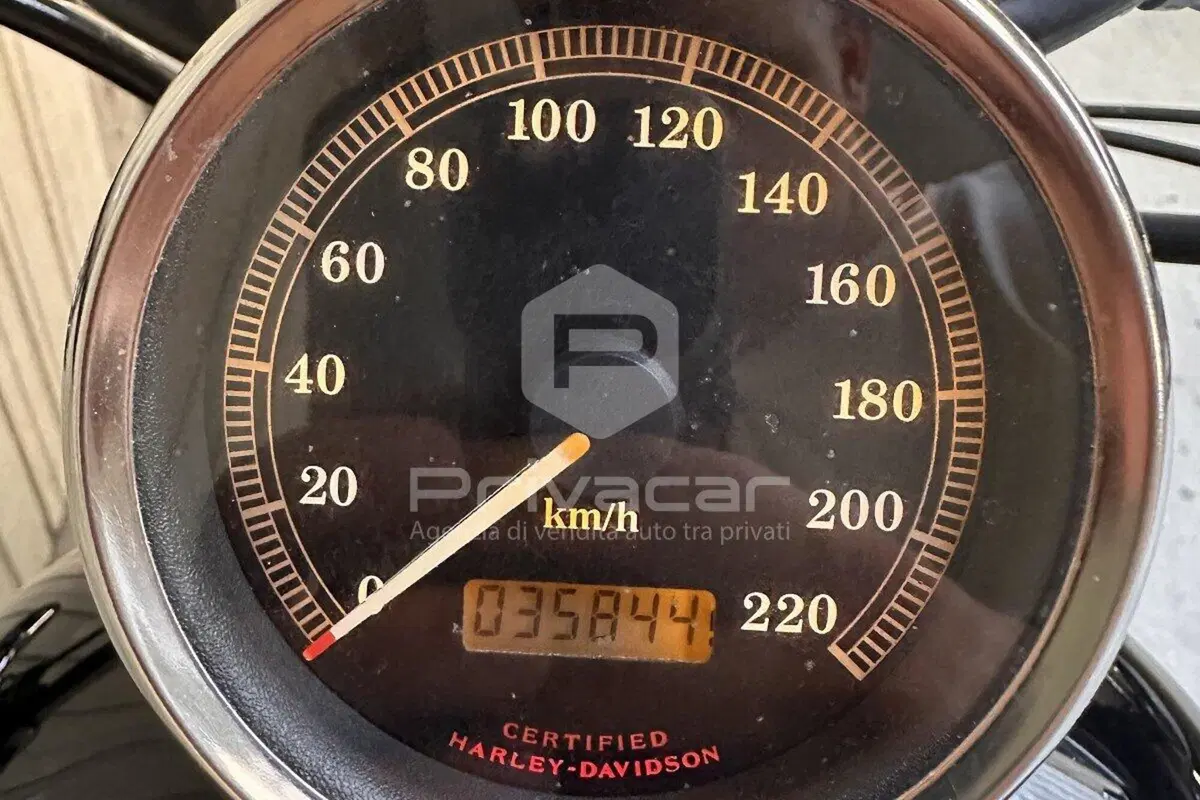 Harley-Davidson 1200 Custom (2001 - 03) - XL 1200C (11)