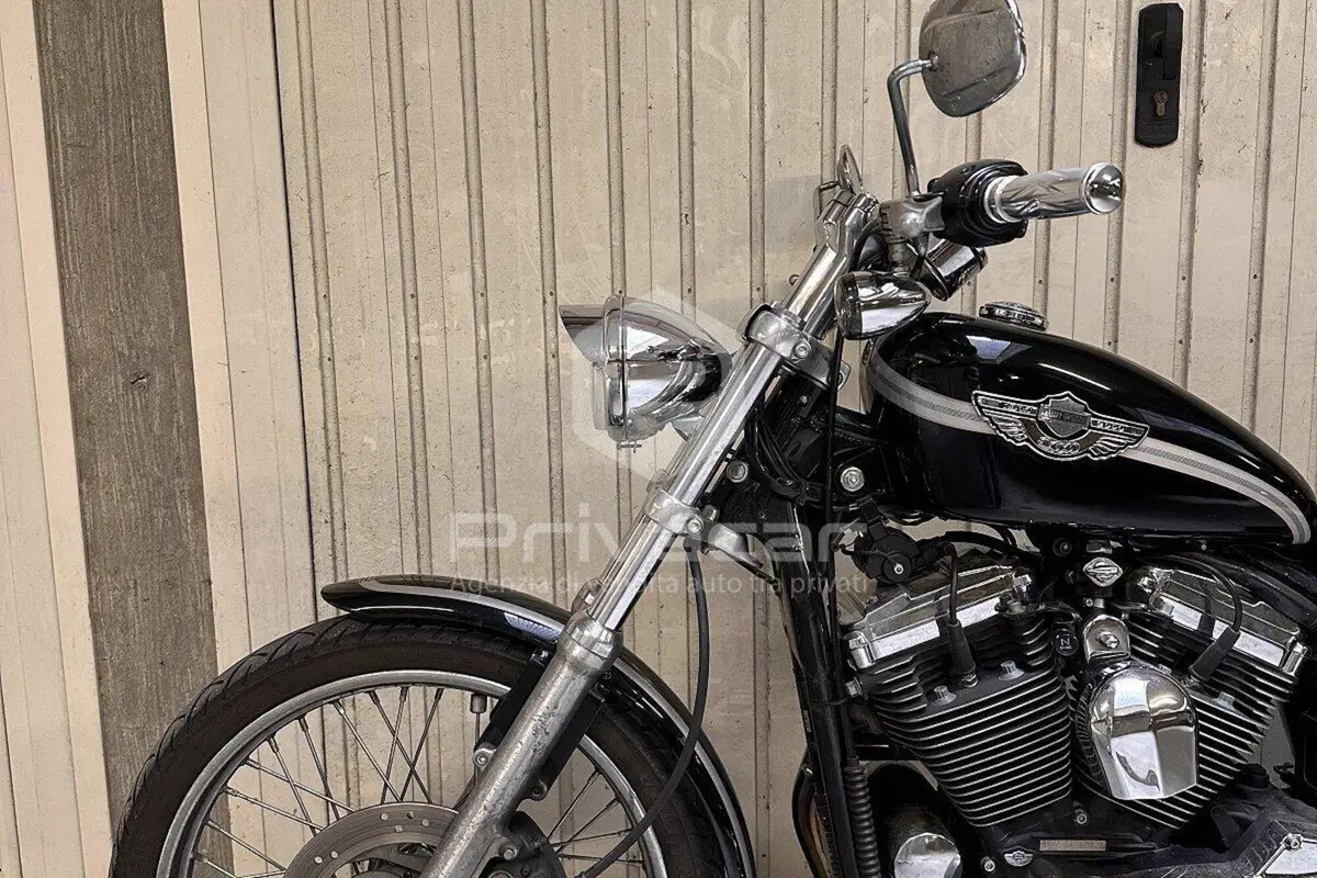 Harley-Davidson 1200 Custom (2001 - 03) - XL 1200C (12)