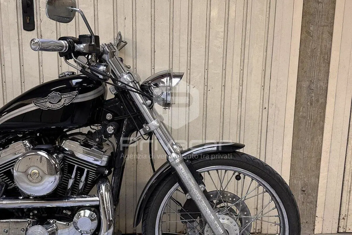 Harley-Davidson 1200 Custom (2001 - 03) - XL 1200C (15)