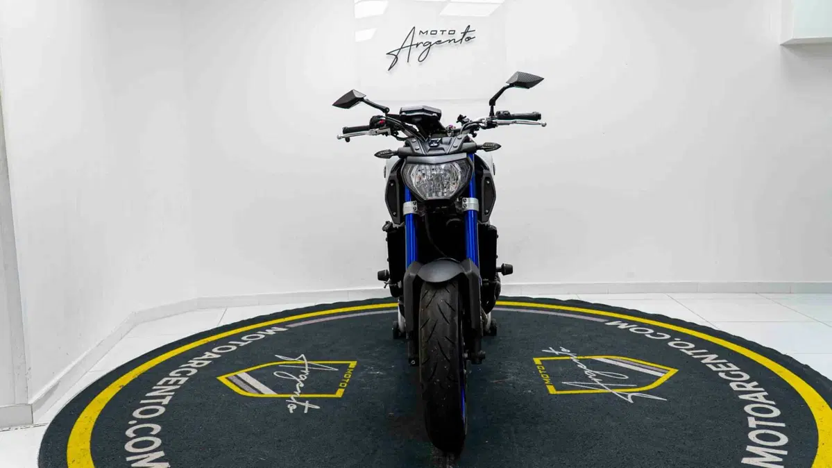 Yamaha MT-09 (2013 - 15) (17)