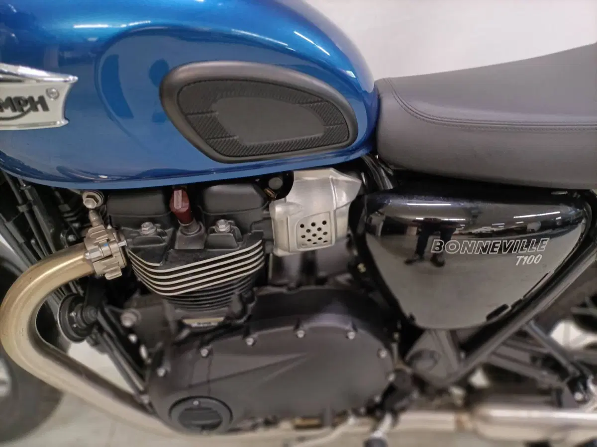 Triumph Bonneville T100 (2021 - 25) (5)