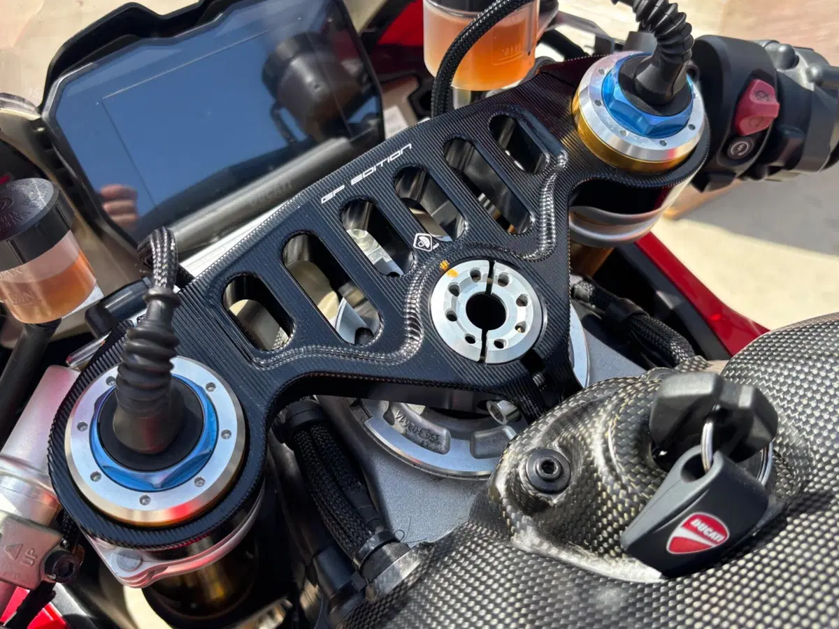 Ducati Panigale V4 S 1100 Corse (2019) (12)