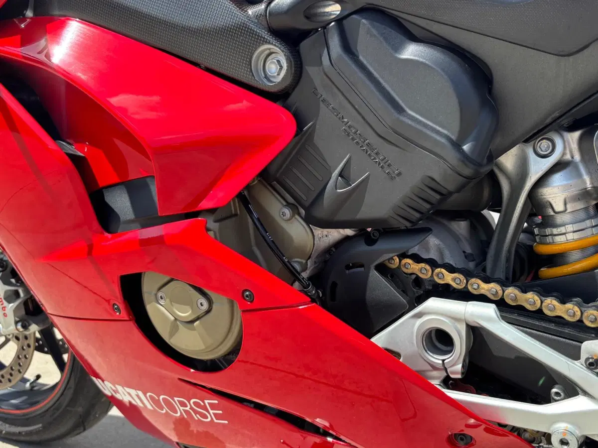 Ducati Panigale V4 S 1100 Corse (2019) (13)