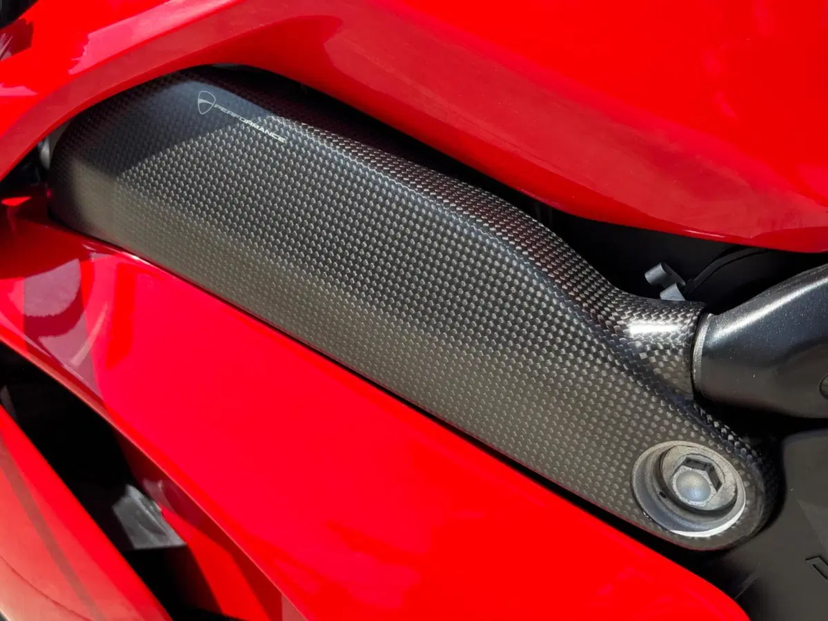 Ducati Panigale V4 S 1100 Corse (2019) (19)