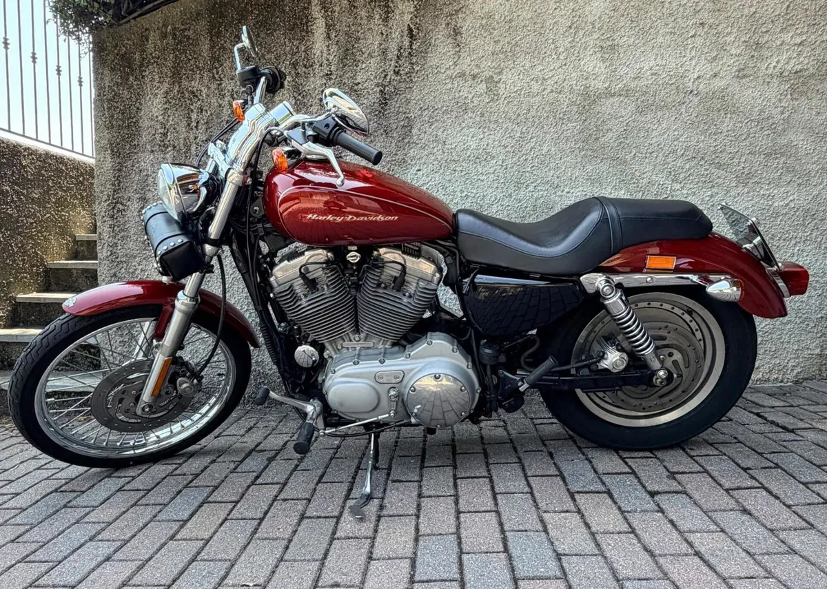 Harley-Davidson 883 Custom (2001 - 05) - XL 53C (2)