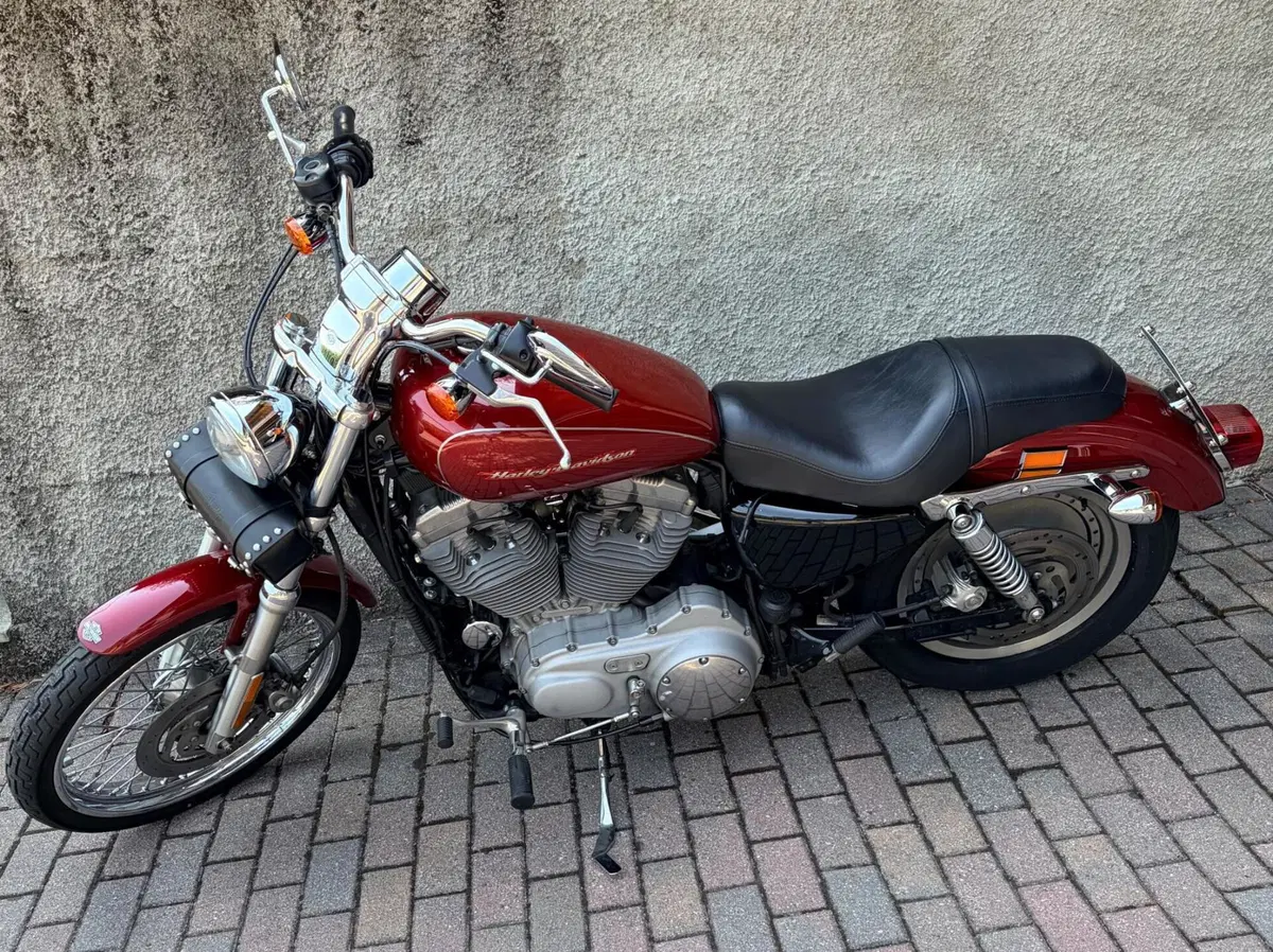 Harley-Davidson 883 Custom (2001 - 05) - XL 53C (6)