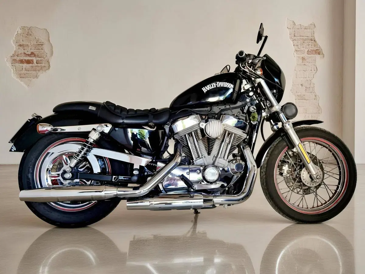Harley-Davidson 883 Custom (2006 - 07) - XL 883C