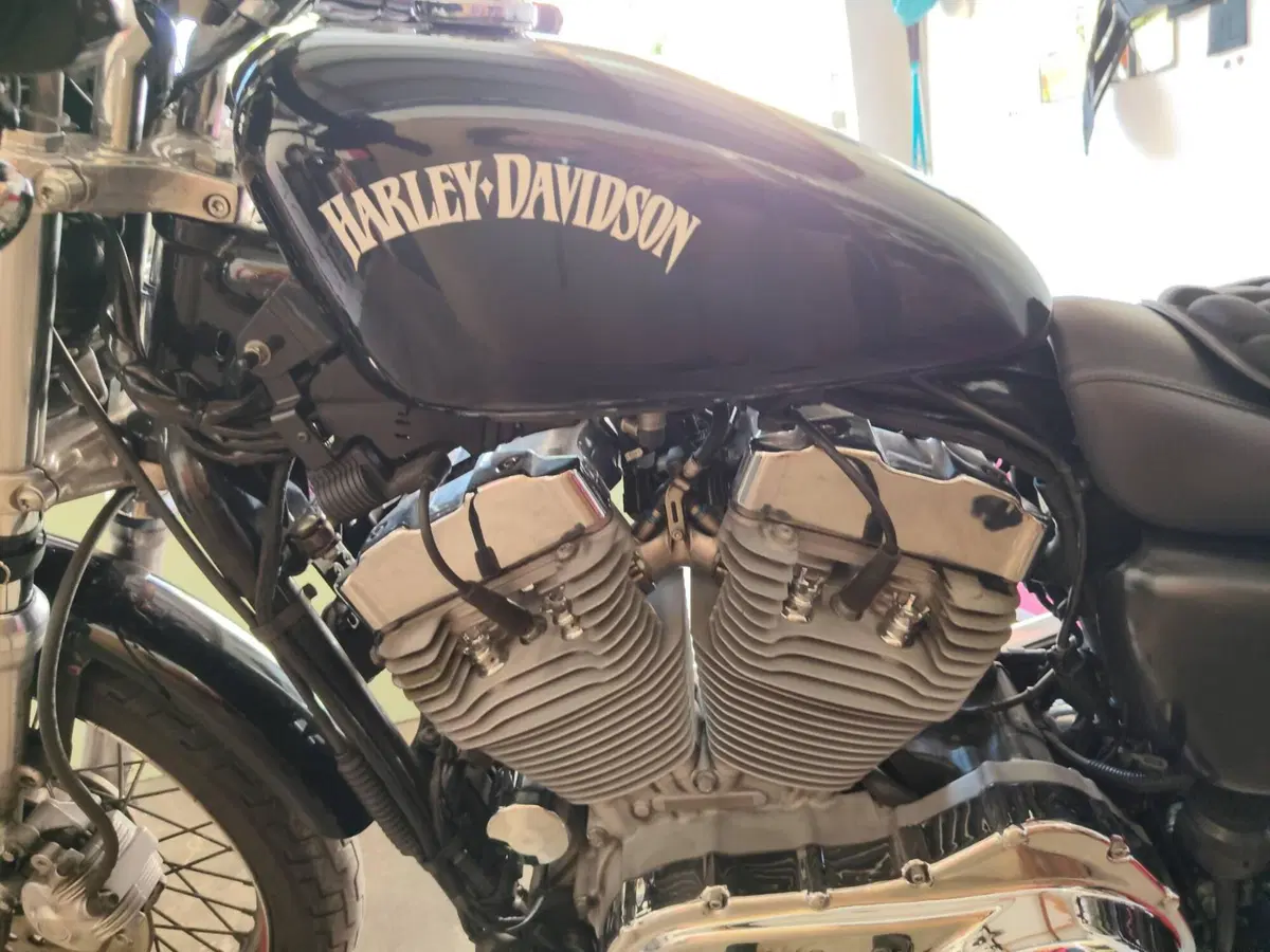 Harley-Davidson 883 Custom (2006 - 07) - XL 883C (3)
