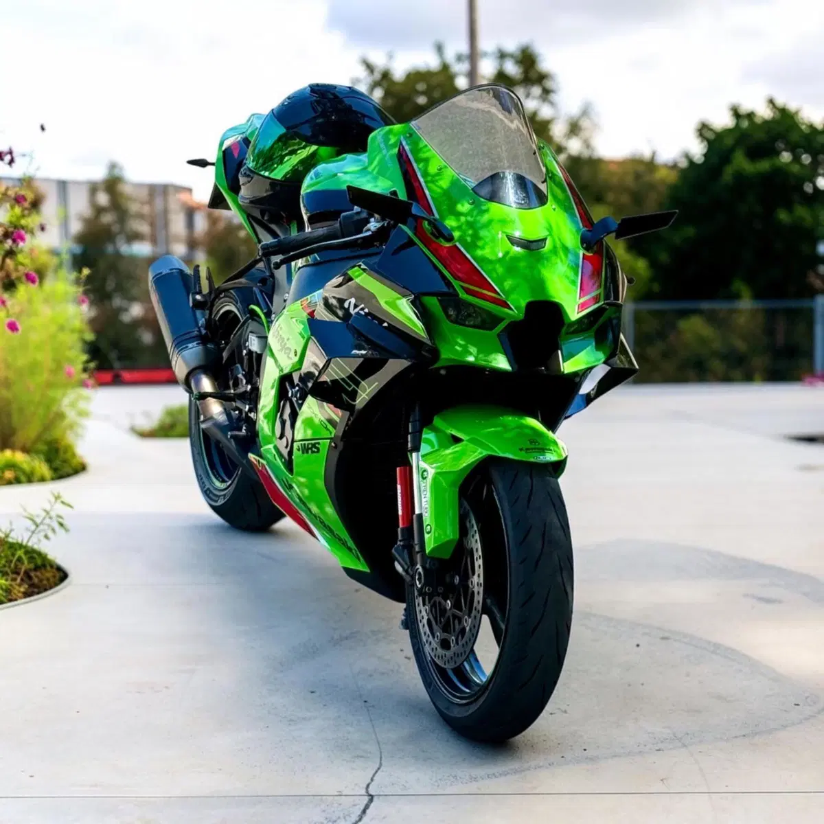 Kawasaki Ninja 1000 ZX-10R Performance (2021 - 24) (3)