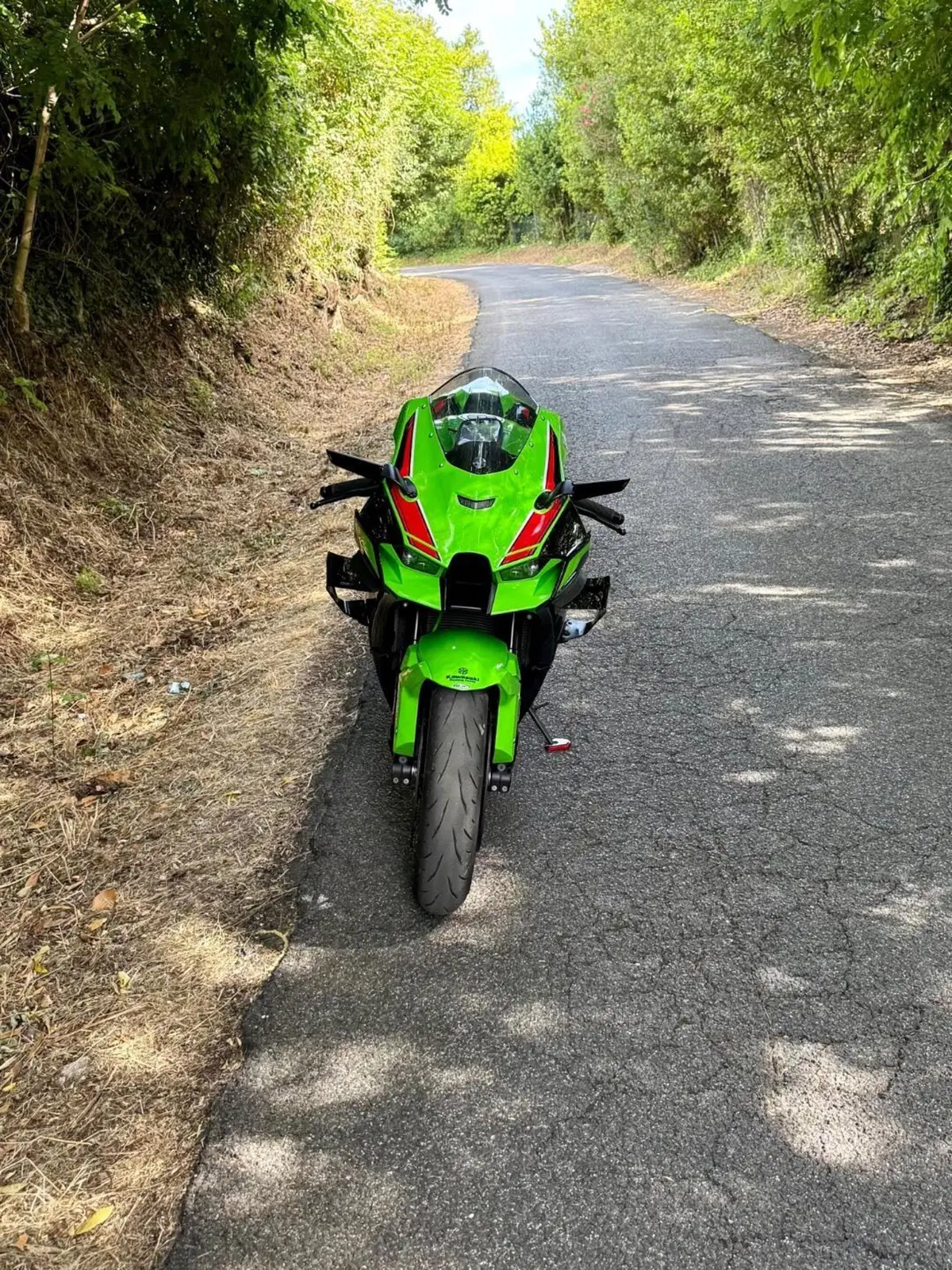 Kawasaki Ninja 1000 ZX-10R Performance (2021 - 24) (7)