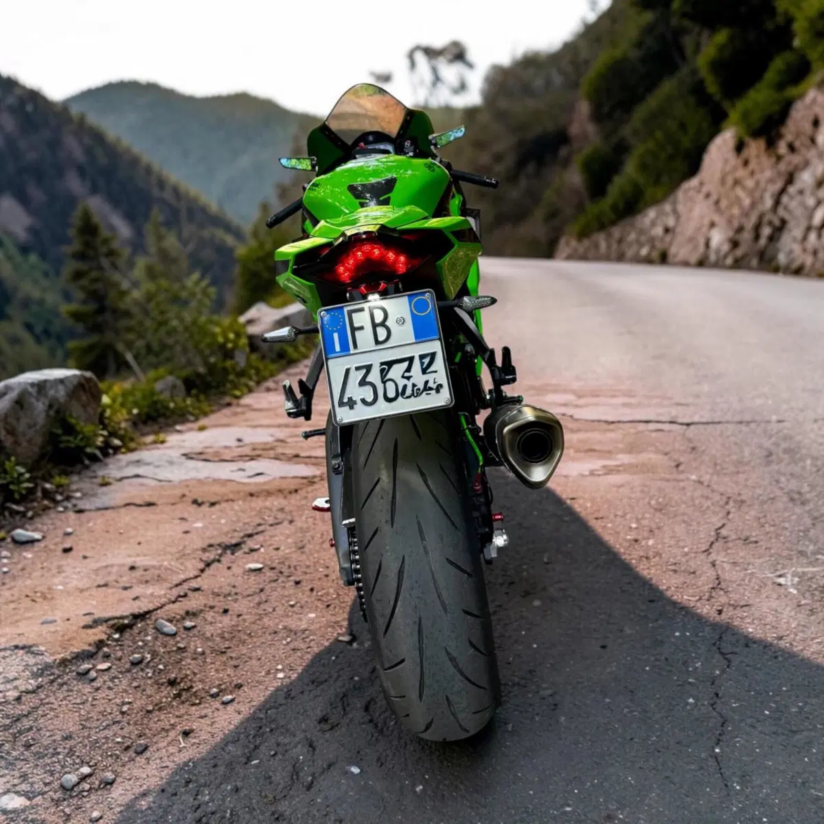Kawasaki Ninja 1000 ZX-10R Performance (2021 - 24) (10)
