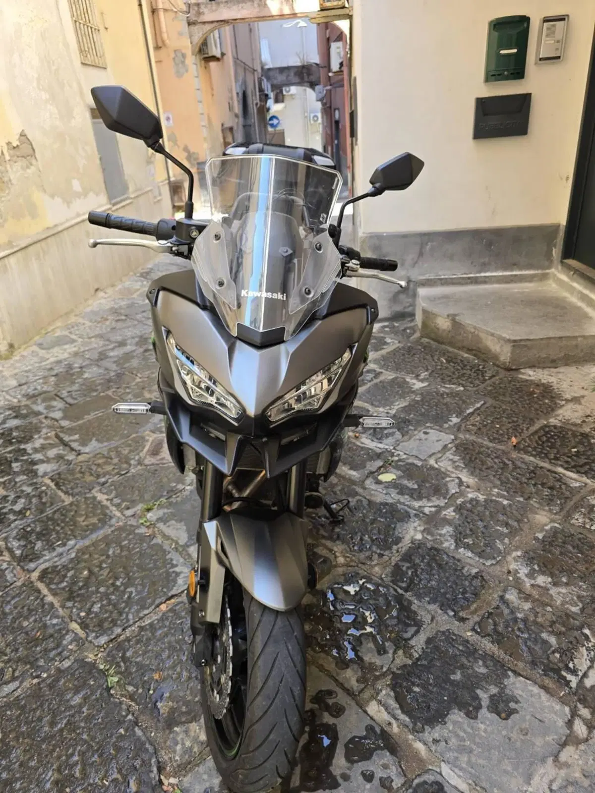Kawasaki Versys 650 (2025 - 26) (6)