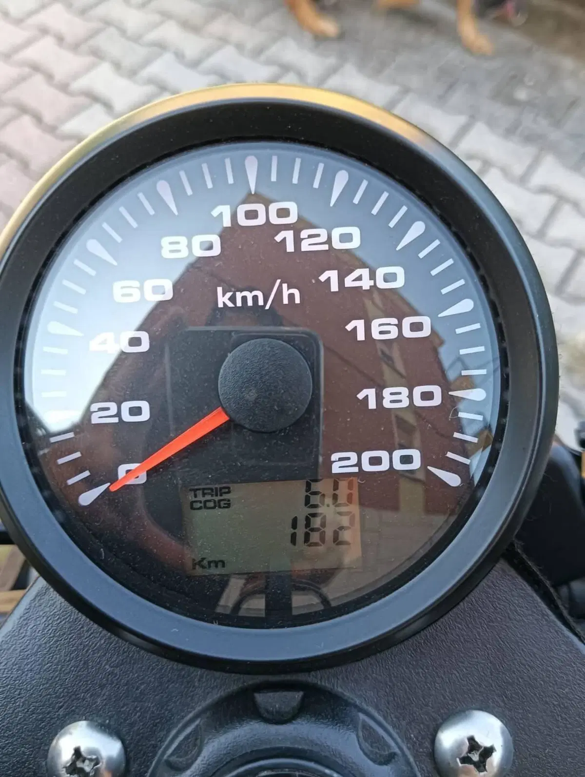 Archive Motorcycle AM 70 250 Cafe Racer (2020) (4)
