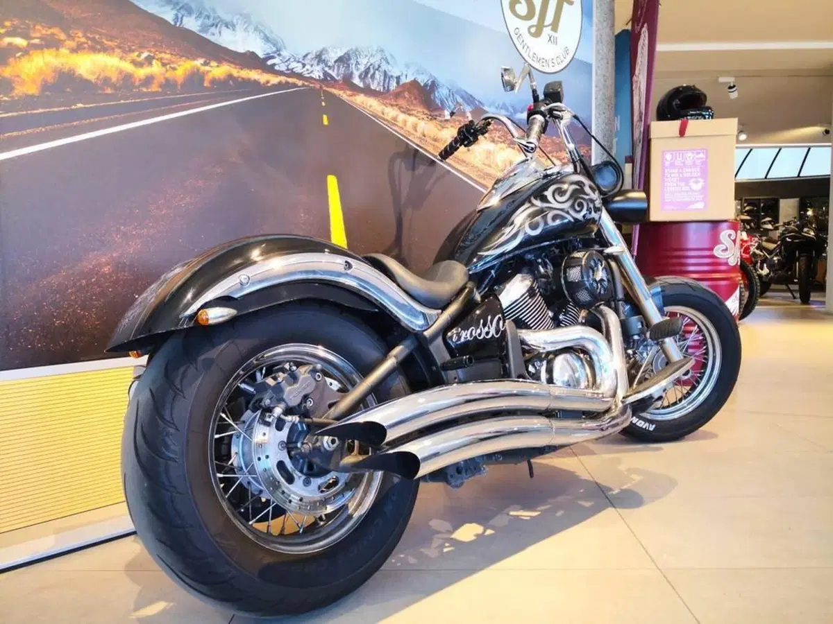 Kawasaki Vulcan VN 900 Classic (2011 - 16) (6)