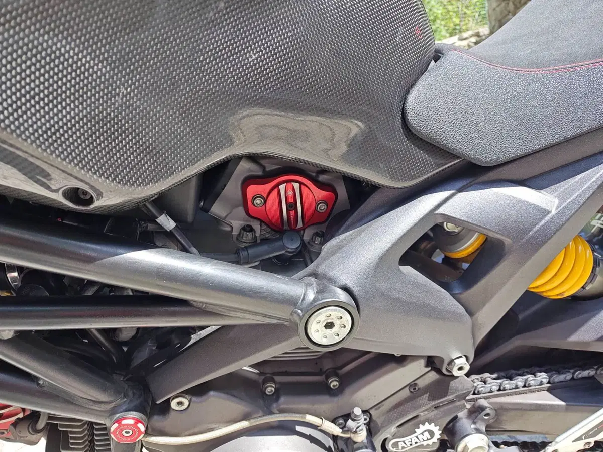 Ducati Monster 696 ABS (2009 - 14) (8)