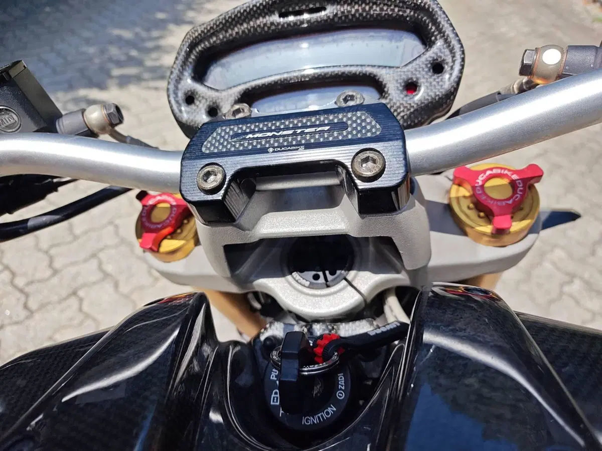 Ducati Monster 696 ABS (2009 - 14) (17)