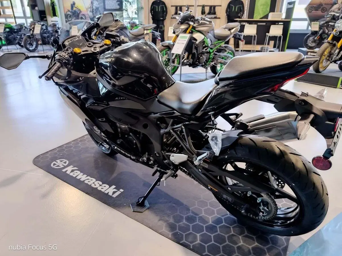Kawasaki Ninja ZX-4R (2024 - 26) (4)