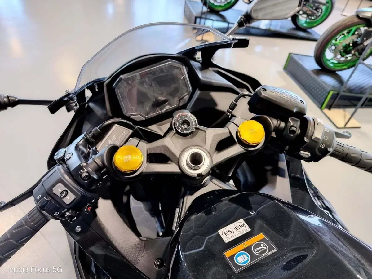 Kawasaki Ninja ZX-4R (2024 - 26) (5)