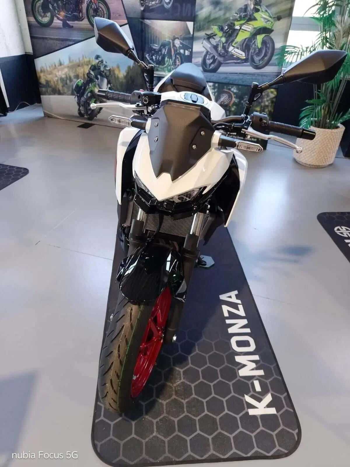 Kawasaki Z 500 SE (2024 - 26) (2)