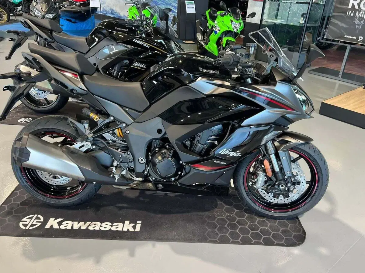 Kawasaki Ninja 1100 SX SE (2025 - 26) (2)
