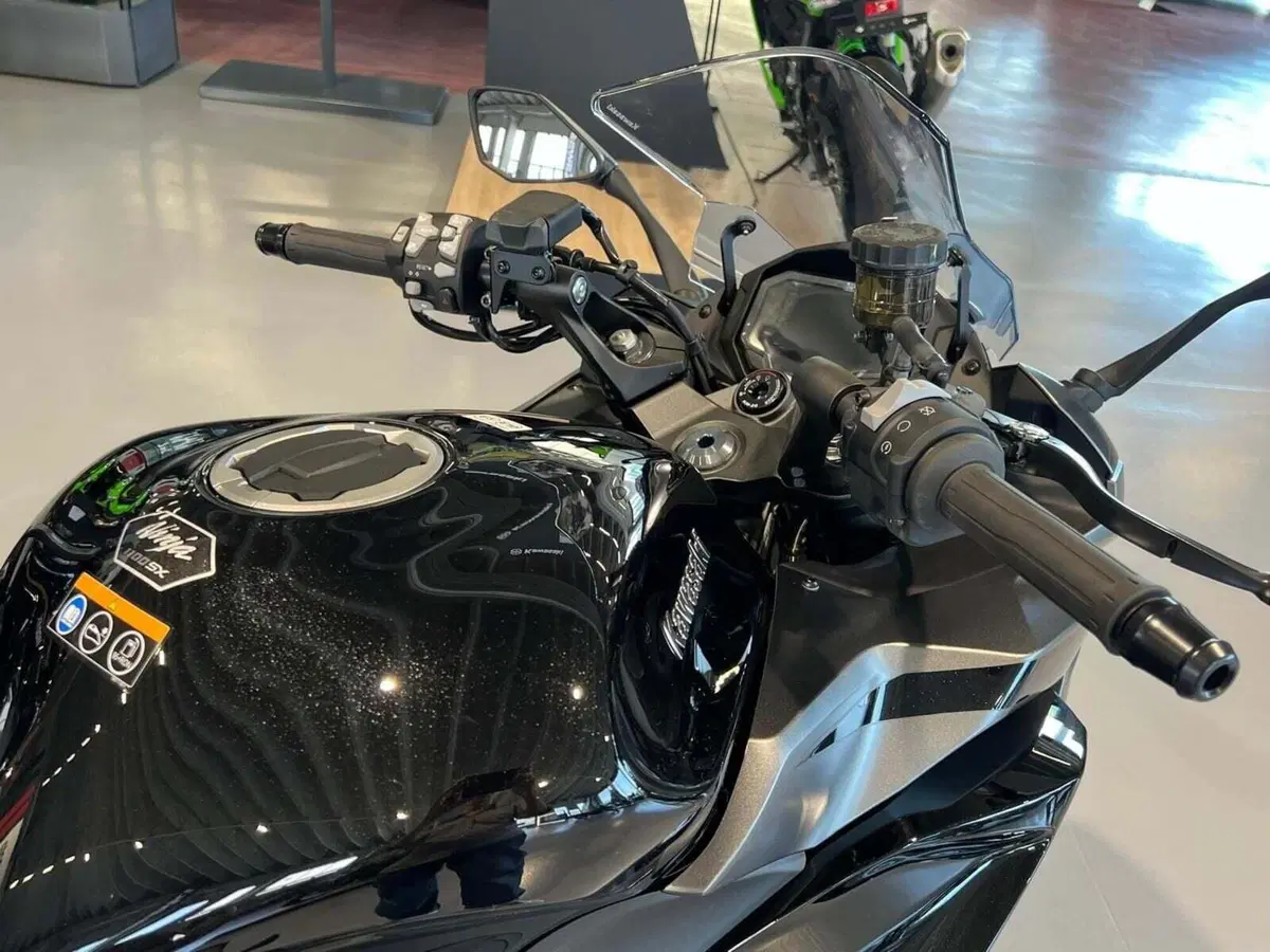 Kawasaki Ninja 1100 SX SE (2025 - 26) (3)