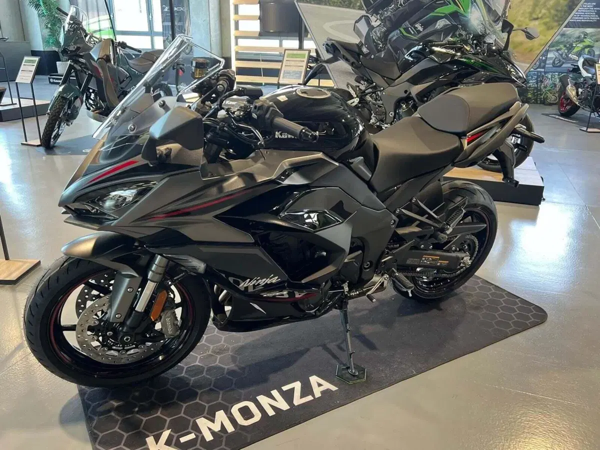 Kawasaki Ninja 1100 SX SE (2025 - 26) (5)