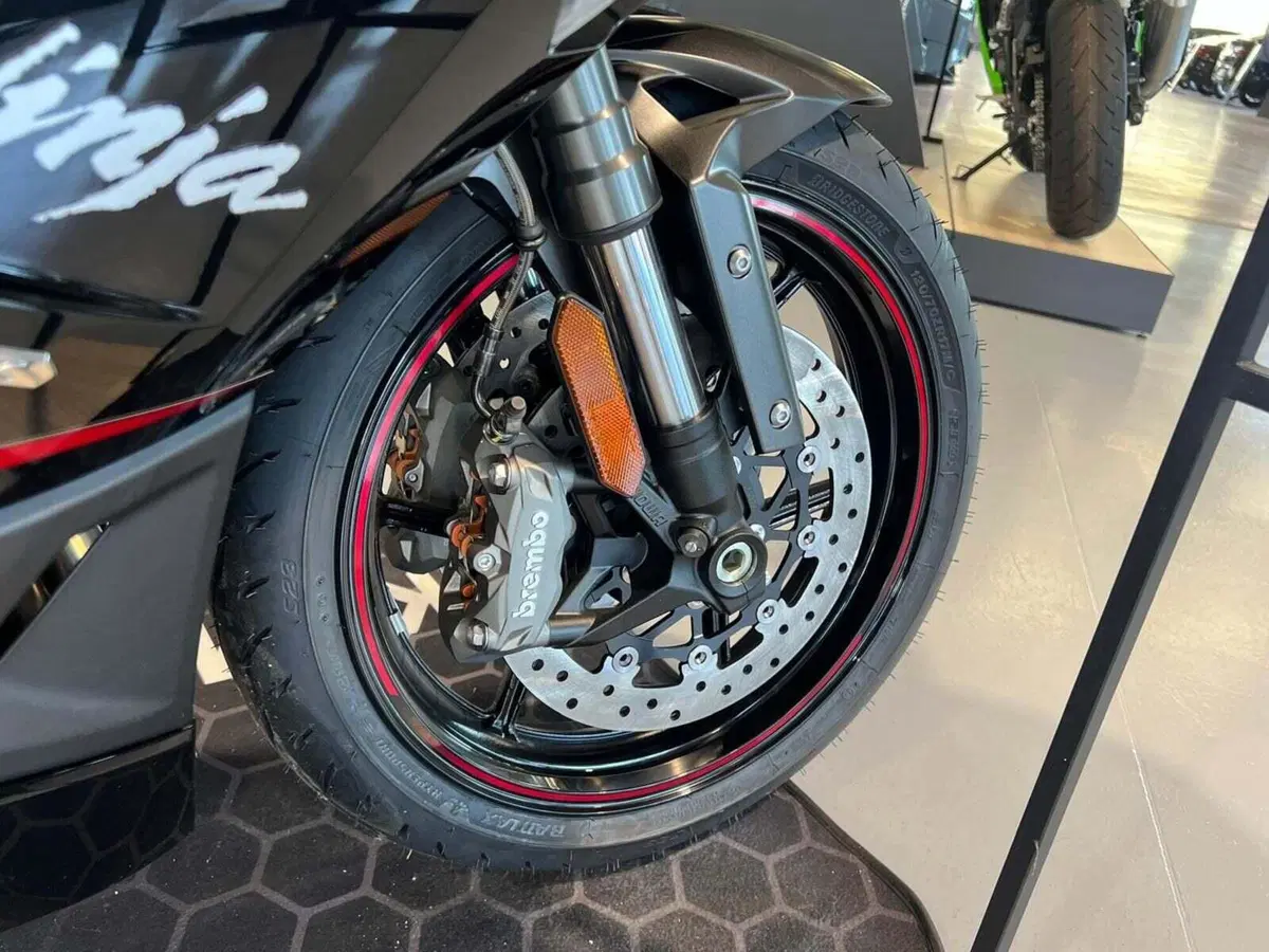 Kawasaki Ninja 1100 SX SE (2025 - 26) (6)