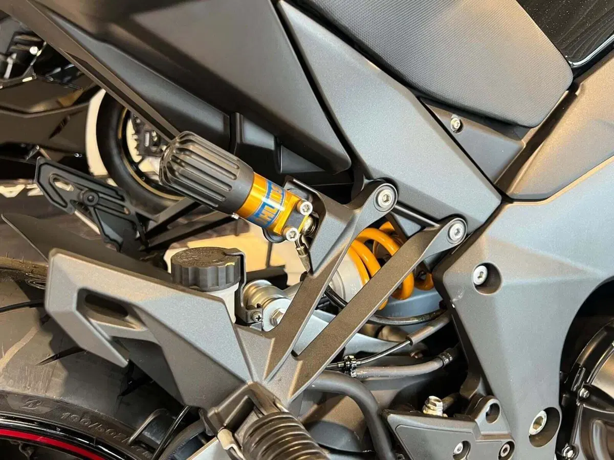 Kawasaki Ninja 1100 SX SE (2025 - 26) (7)