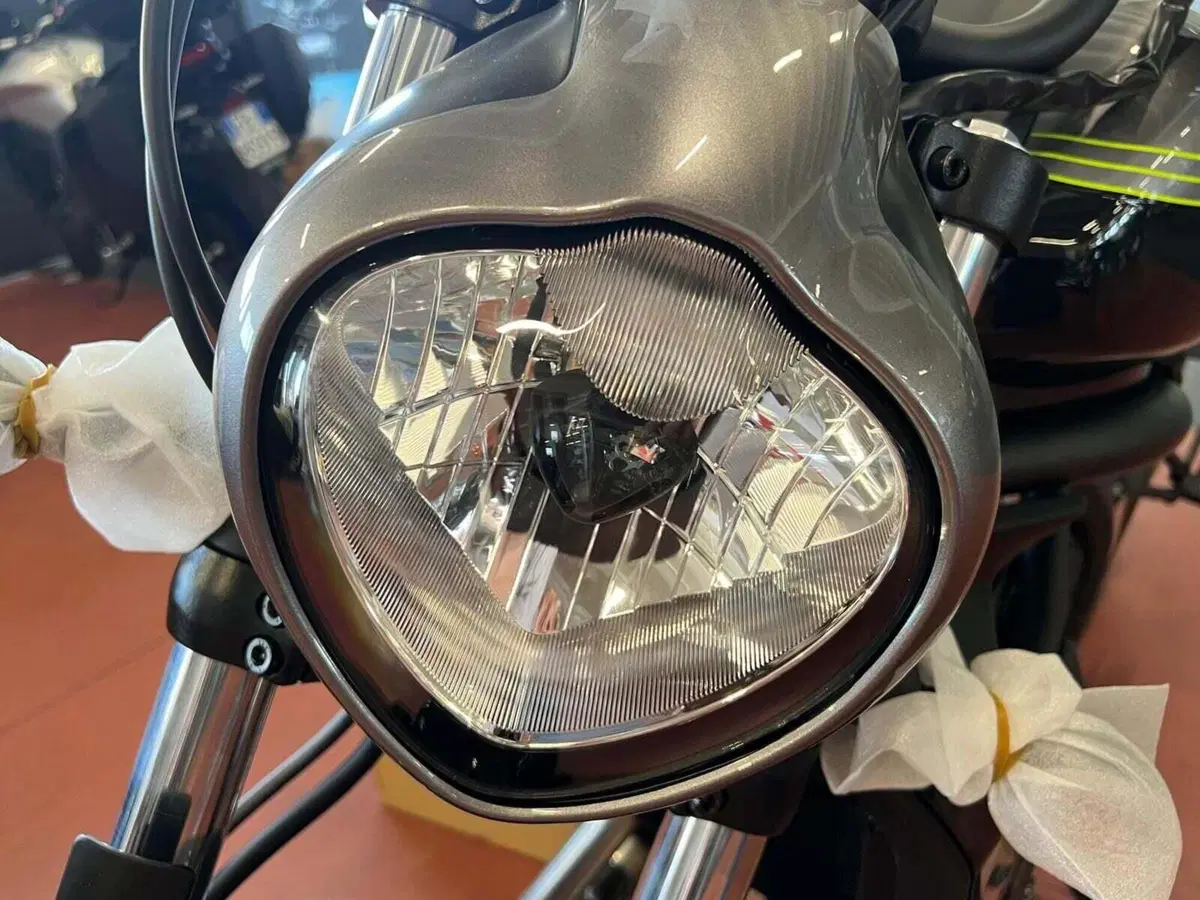 Kawasaki Vulcan S (2025 - 26) (2)