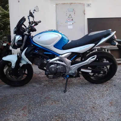 Suzuki SV 650 (2006 - 11) usata