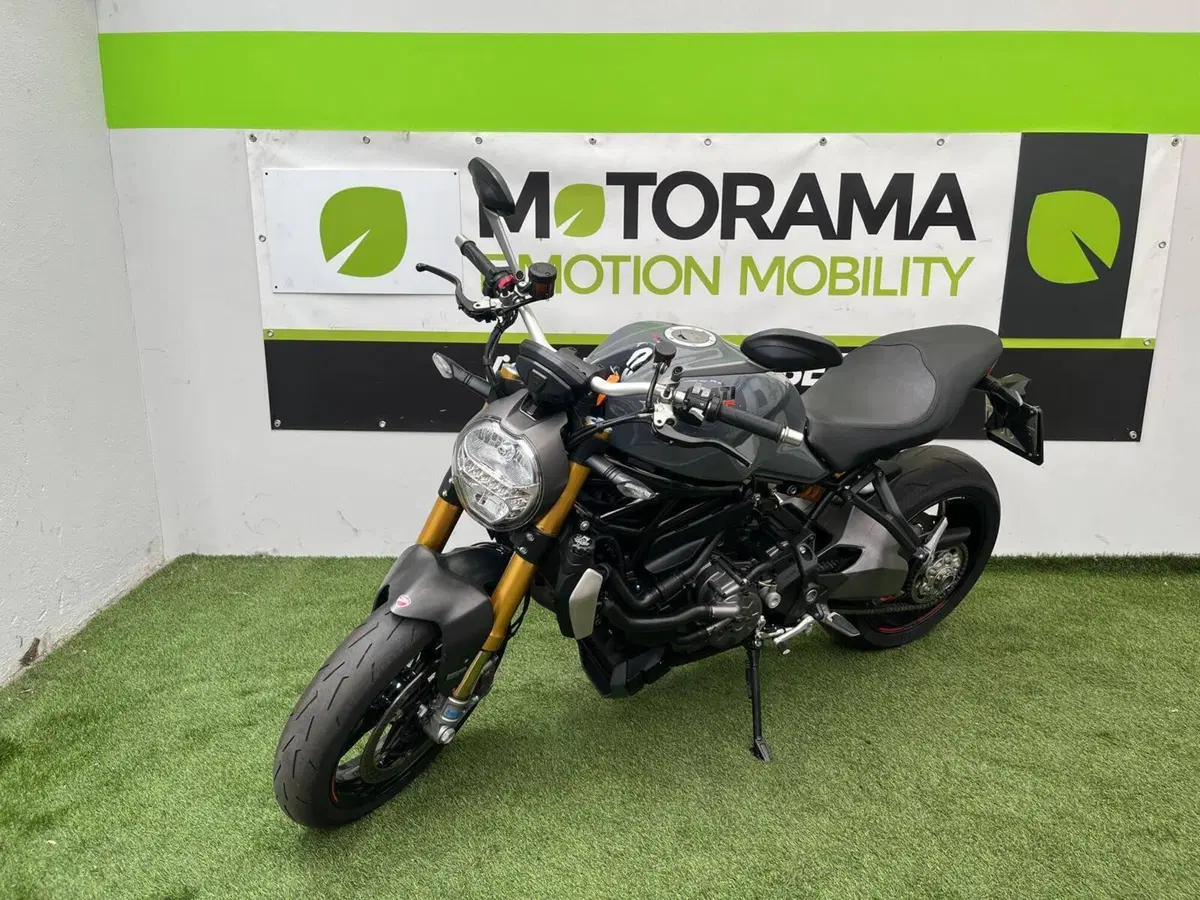 Ducati Monster 1200 S (2014 - 16) (2)