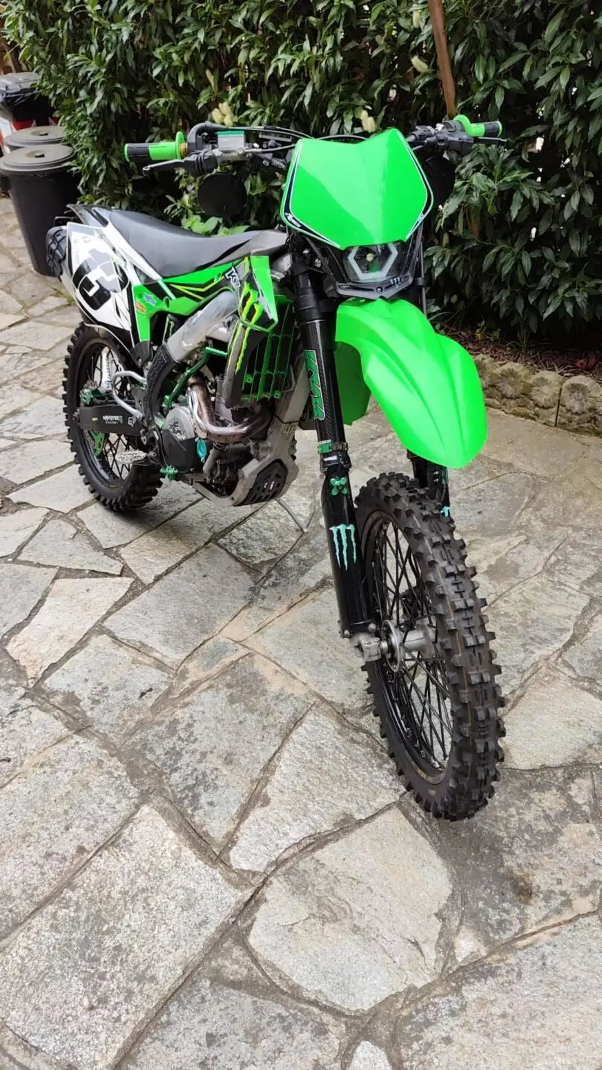 Kawasaki KX450F (2018) (2)