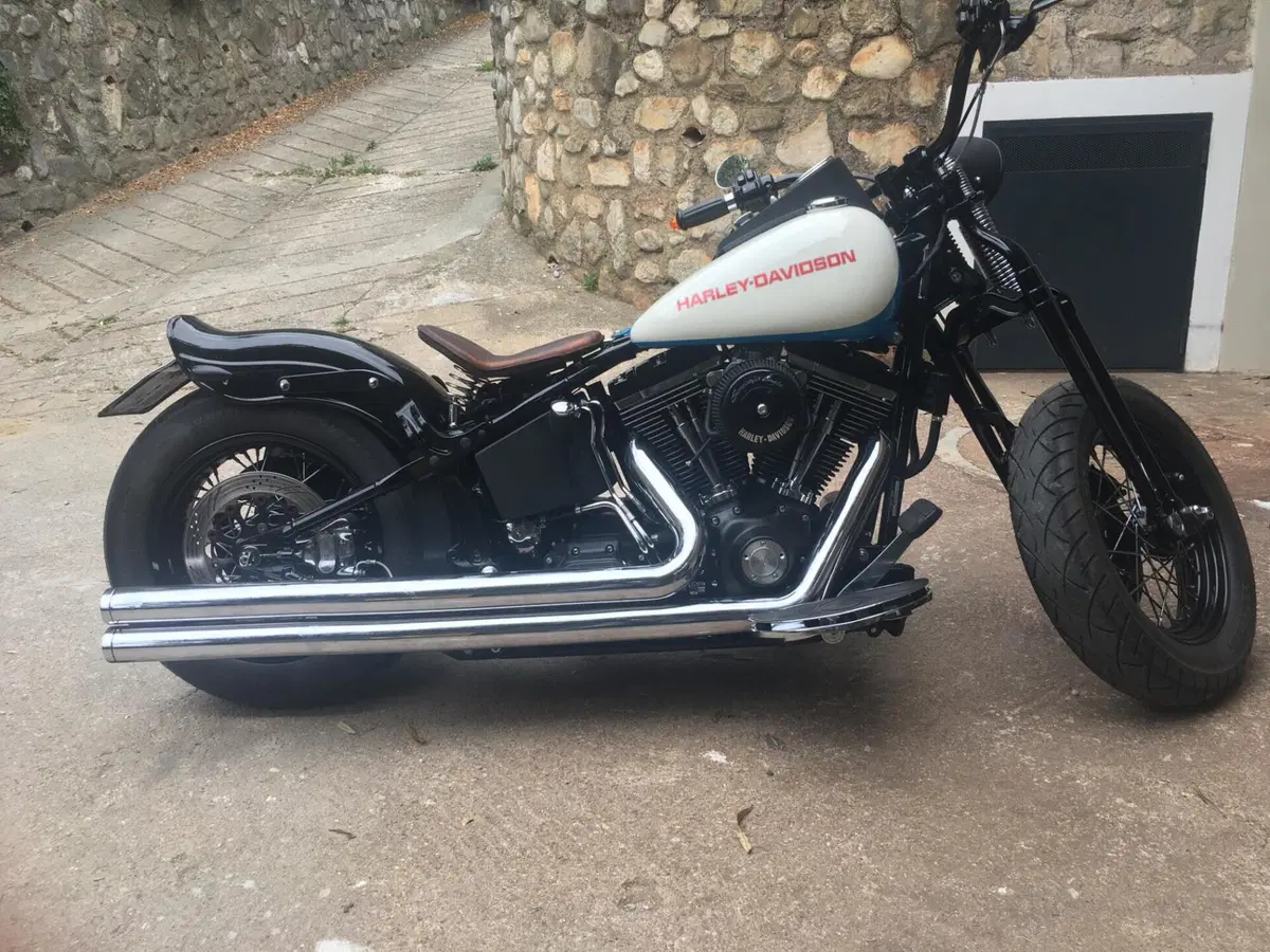 Harley-Davidson 1450 Heritage Springer Classic (2005 - 07) - FLSTSC (2)