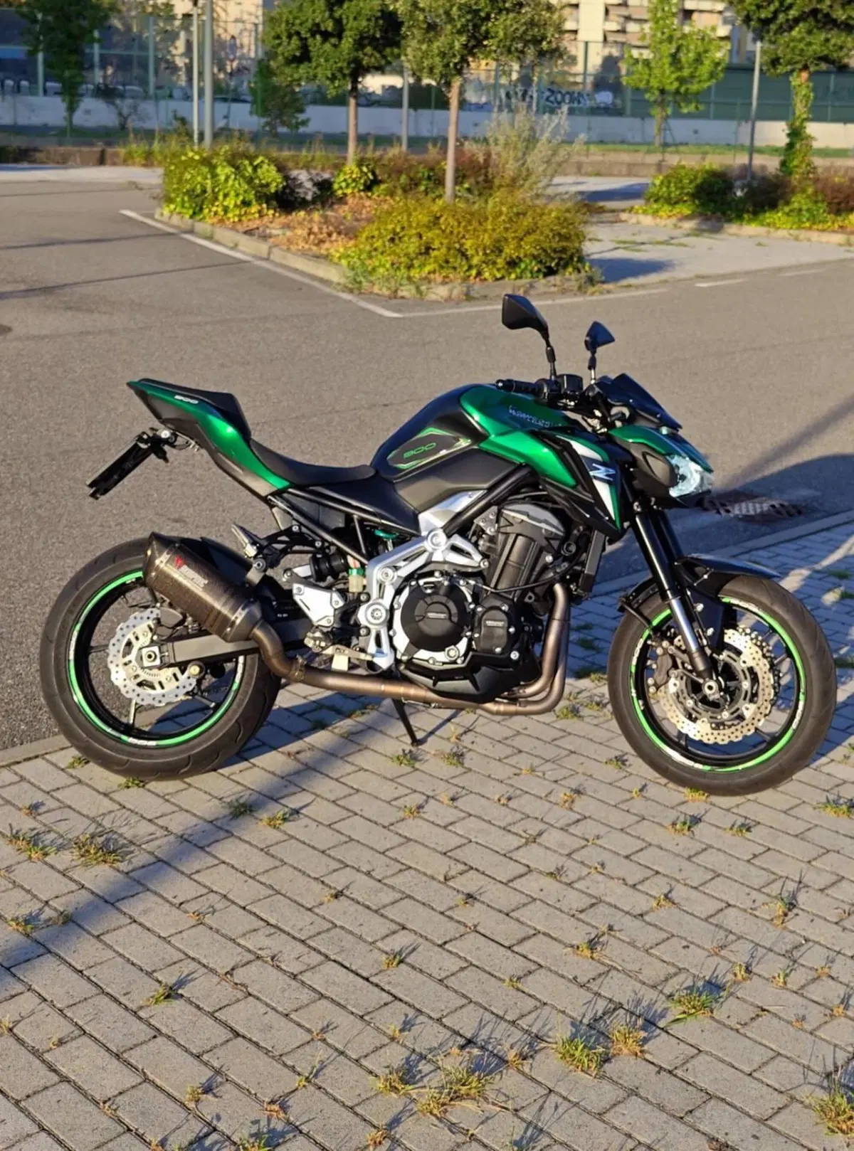 Kawasaki Z 900 A2 (2019) (2)