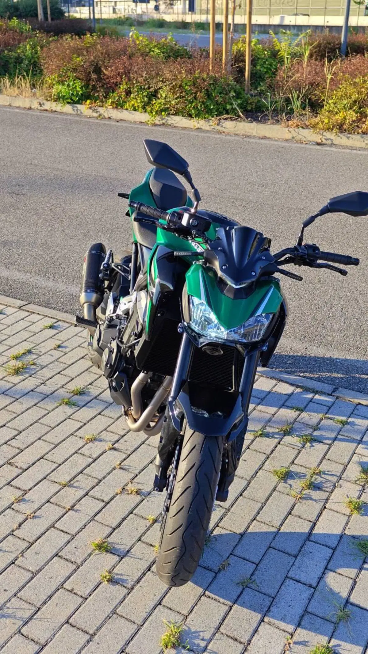 Kawasaki Z 900 A2 (2019) (11)