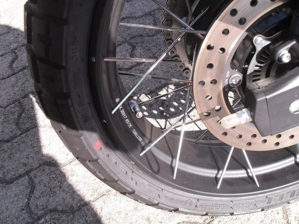 Morbidelli T352X (2026) (5)