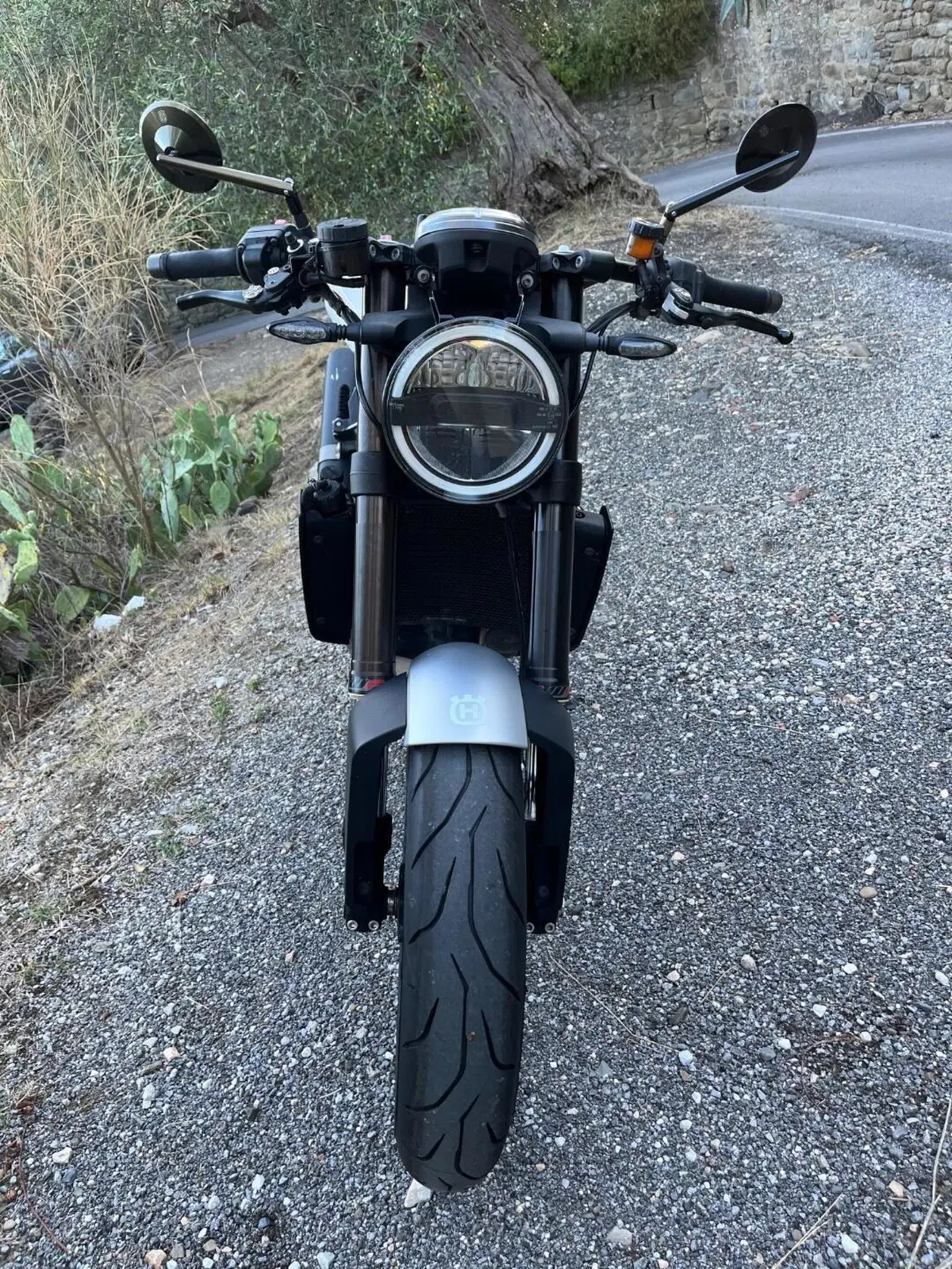 Husqvarna Vitpilen 701 (2018 - 19) (8)
