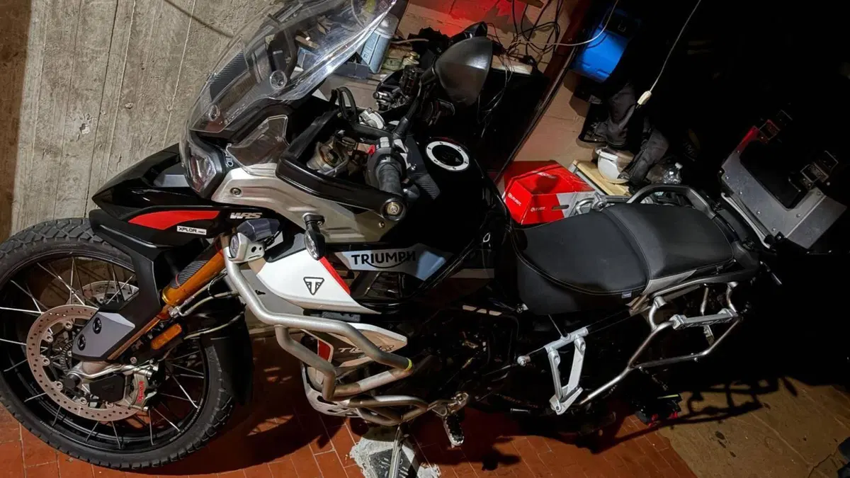 Triumph Tiger 900 Rally Pro (2020 - 23) (14)