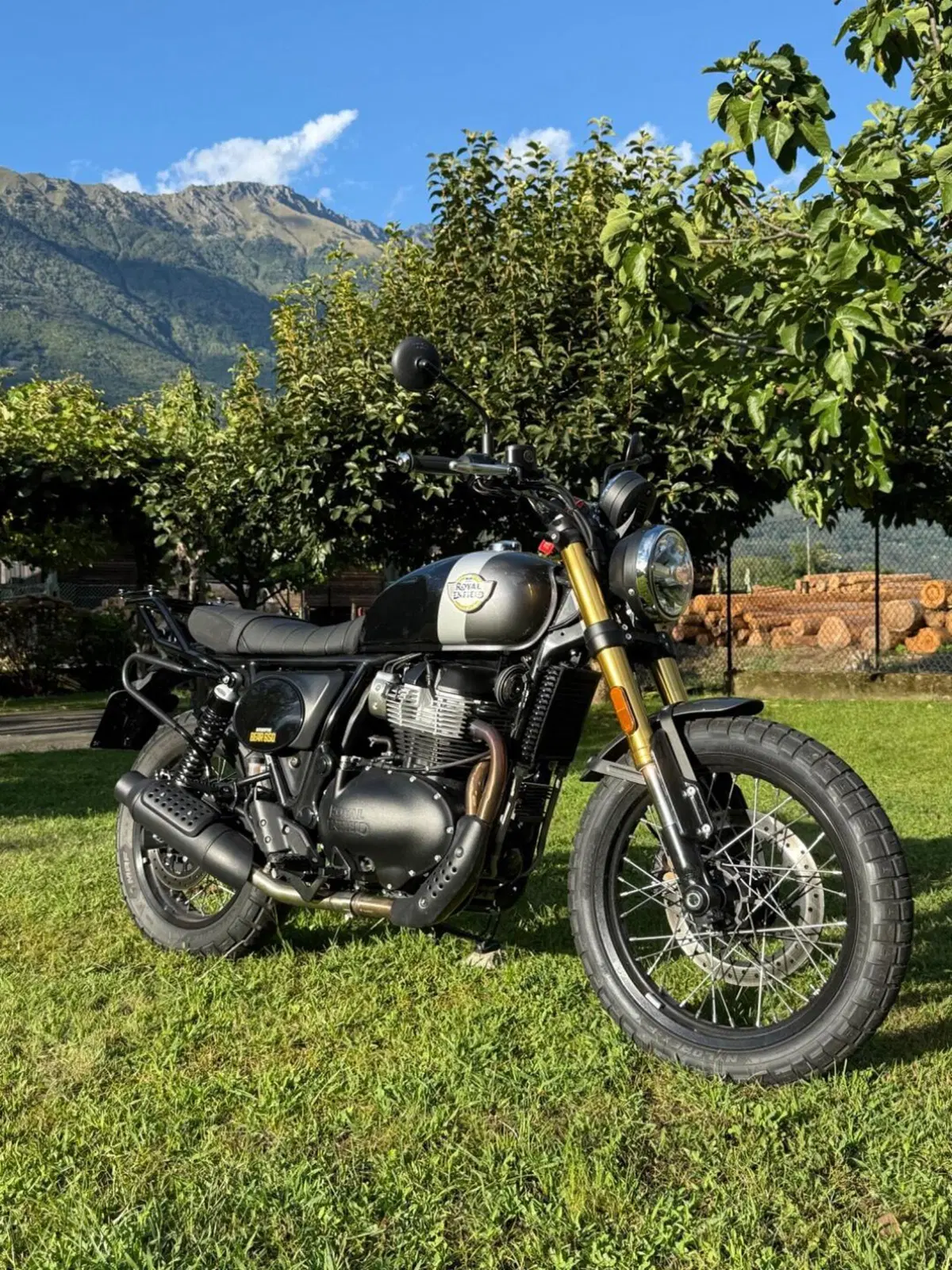 Royal Enfield Bear 650 (2025 - 26)