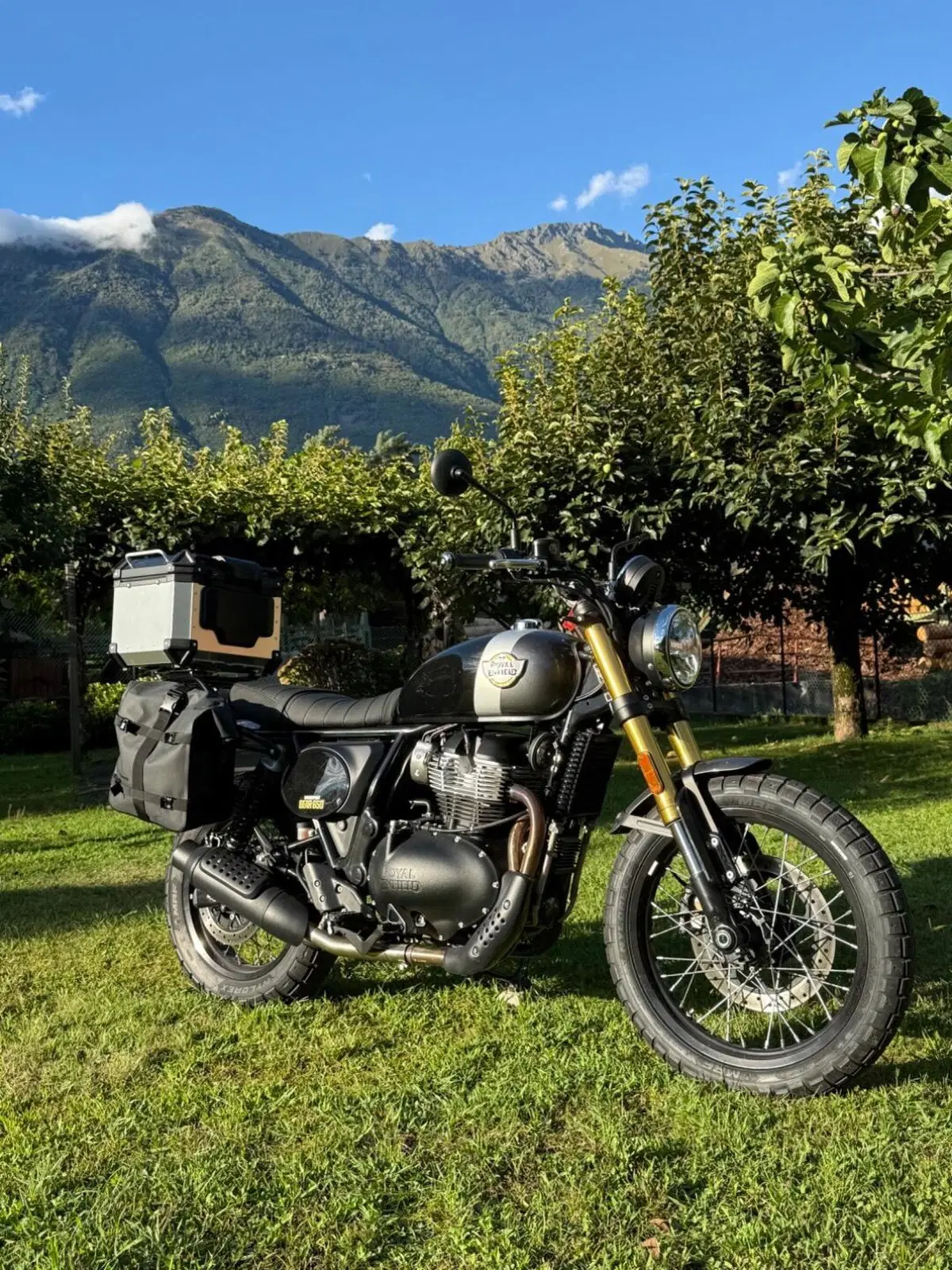 Royal Enfield Bear 650 (2025 - 26) (2)