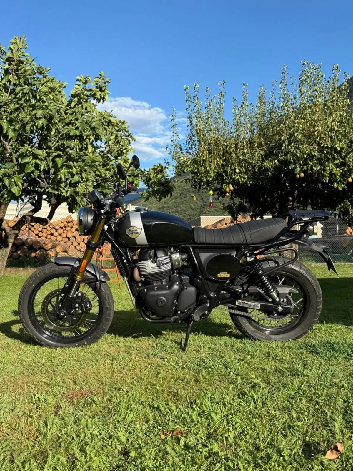 Royal Enfield Bear 650 (2025 - 26) (3)