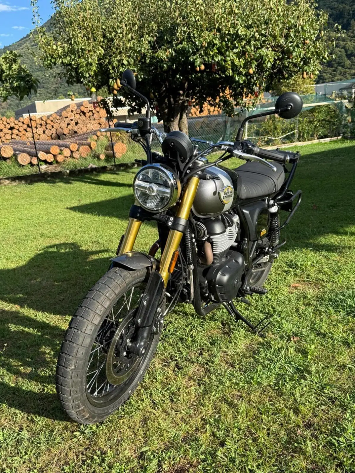 Royal Enfield Bear 650 (2025 - 26) (4)