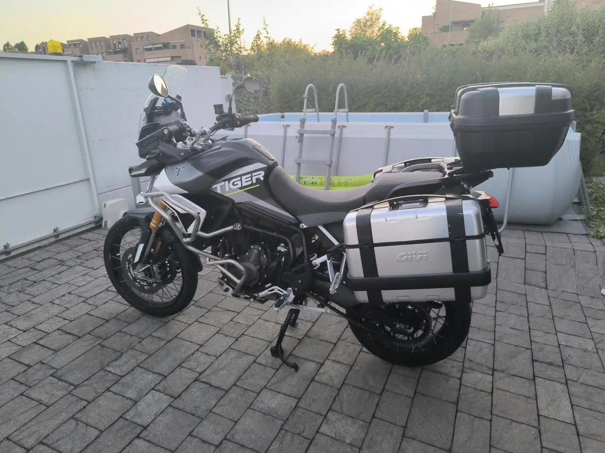 Triumph Tiger 900 Rally Aragón Edition (2023 - 24) (2)