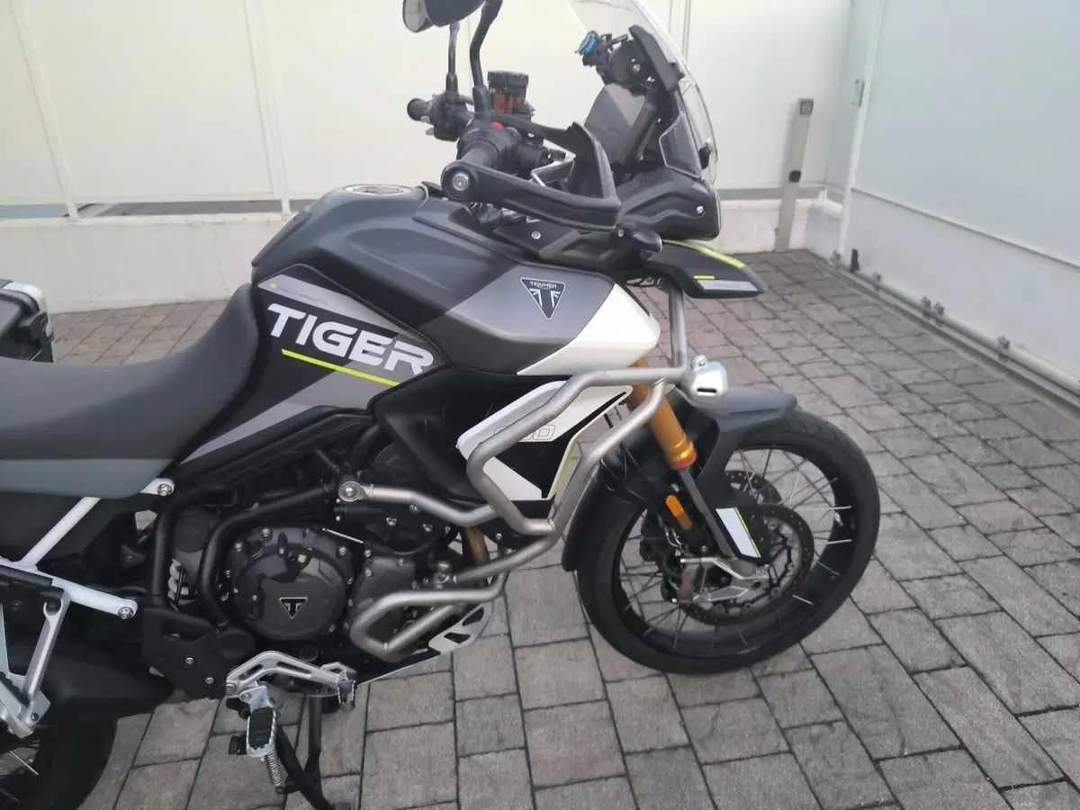 Triumph Tiger 900 Rally Aragón Edition (2023 - 24) (3)