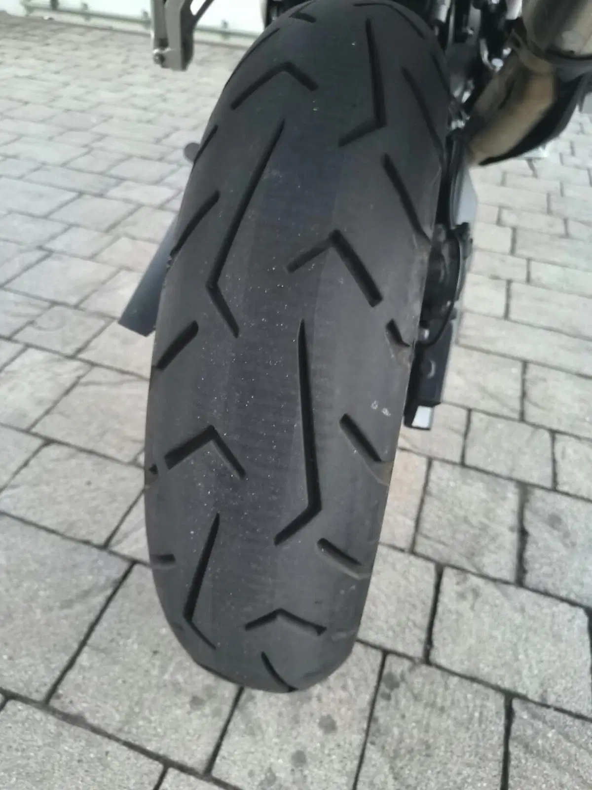 Triumph Tiger 900 Rally Aragón Edition (2023 - 24) (5)