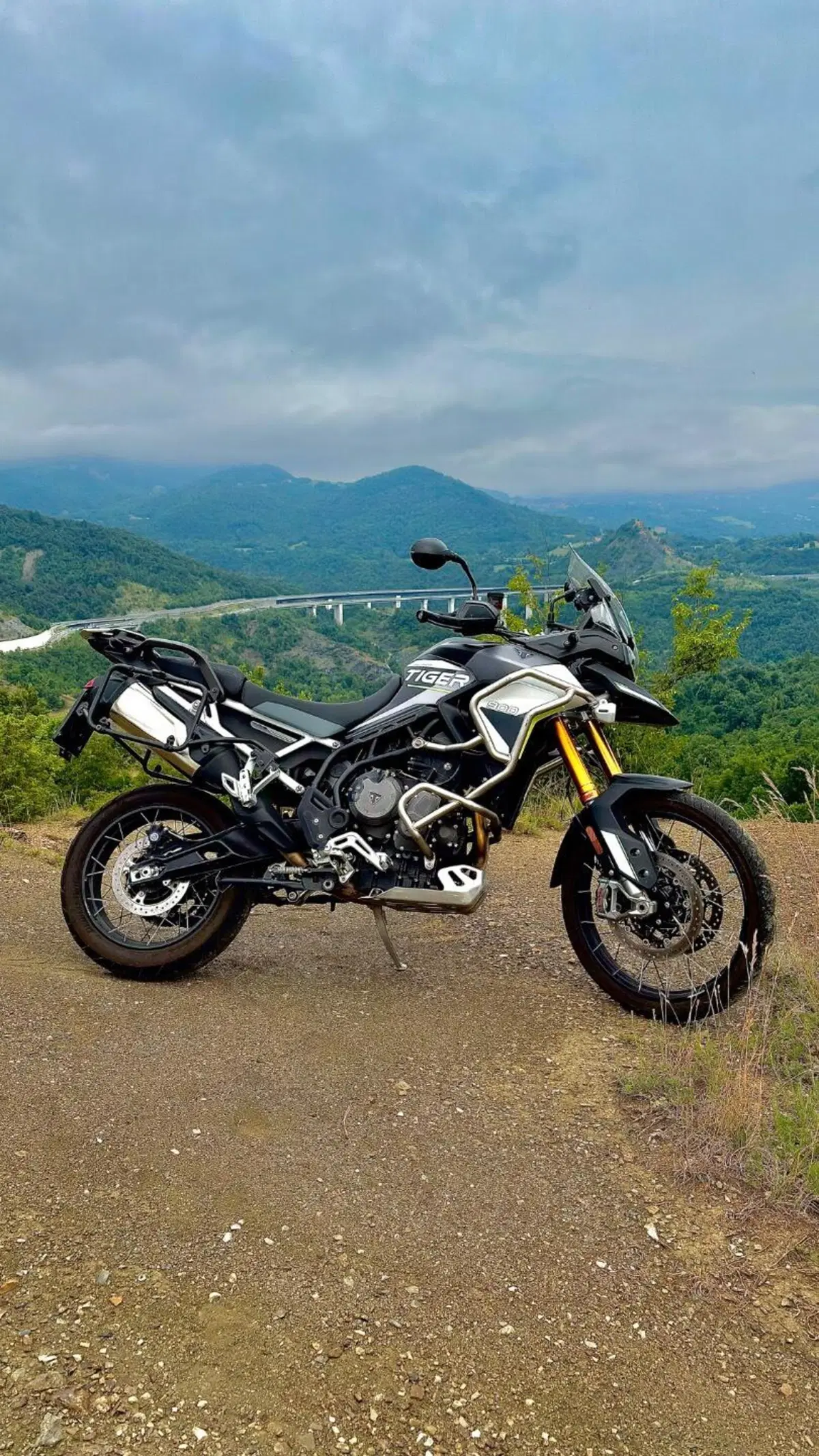 Triumph Tiger 900 Rally Aragón Edition (2023 - 24) (7)