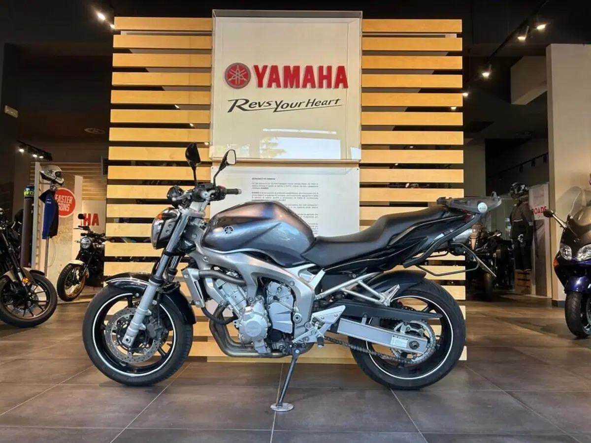 Yamaha FZ6 (2004 - 07) (3)