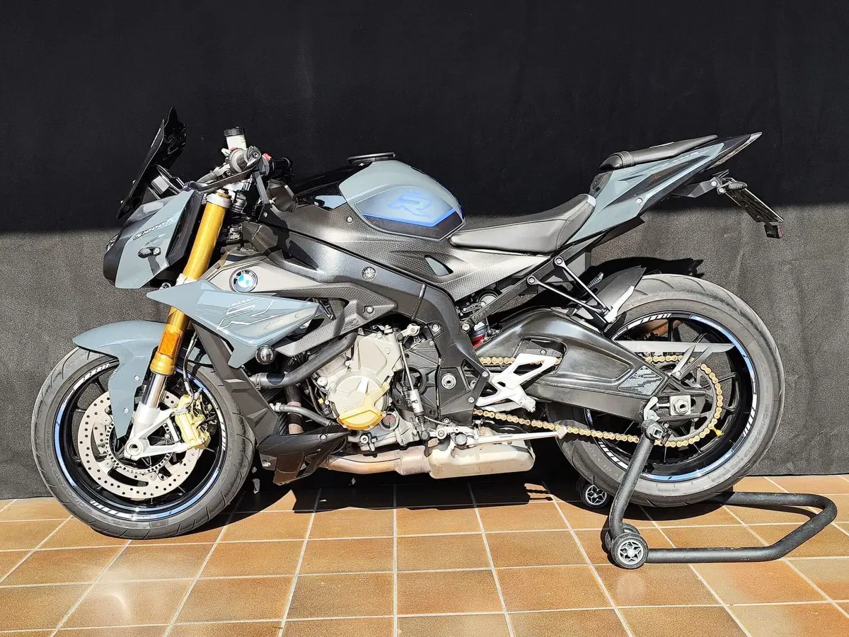 Bmw S 1000 R (2017 - 20) (2)